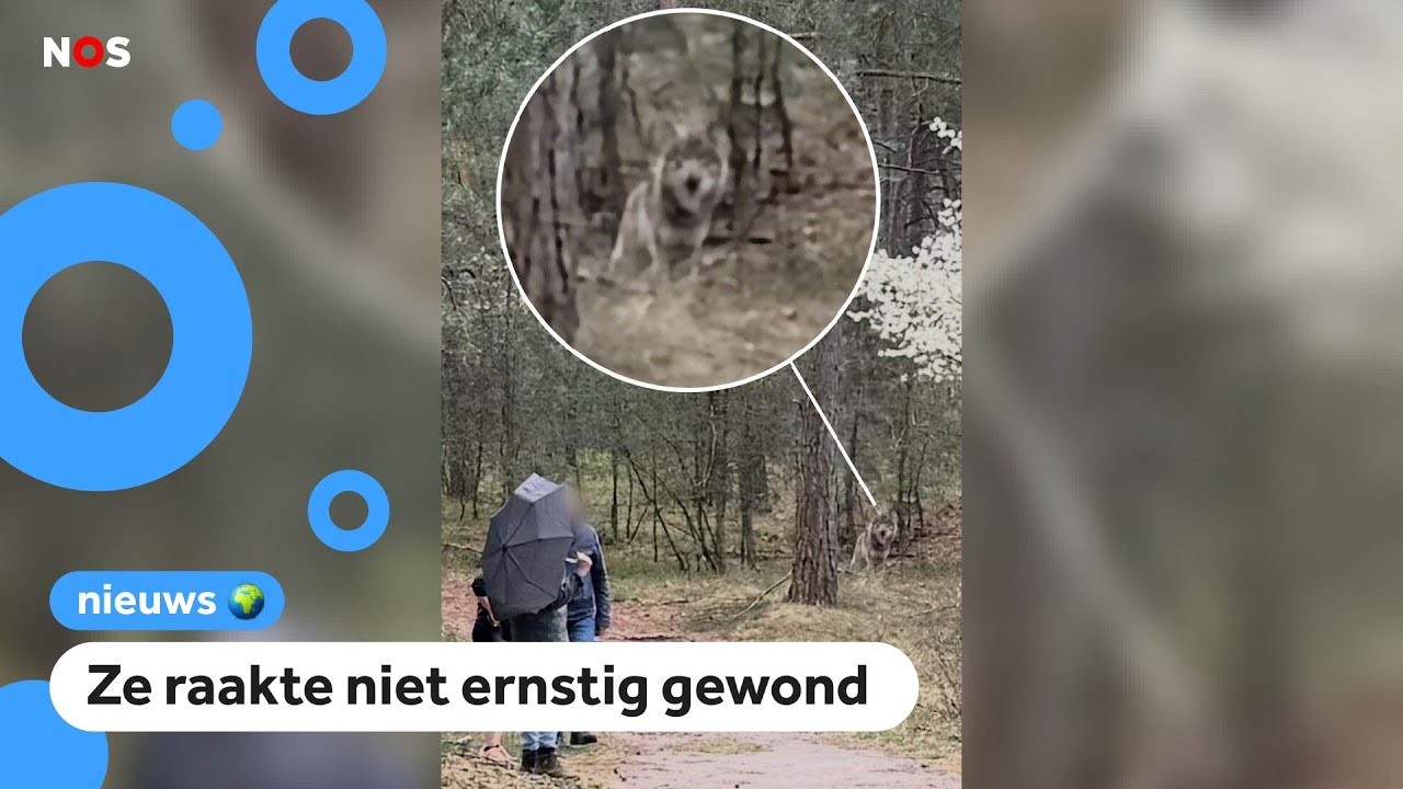 Hardloopster lijkt te zijn gebeten door wolf