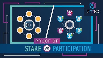 Proof of Stake vs. Proof of Participation