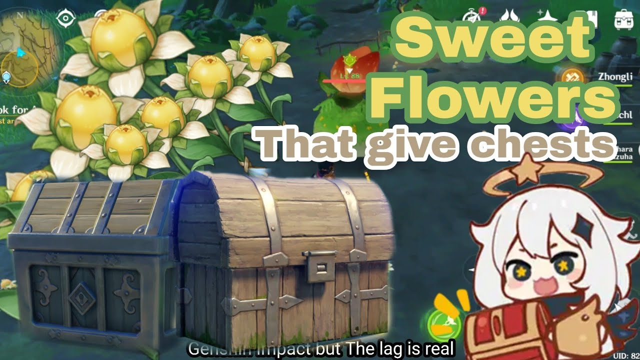 Sweet Flowers Location that give you chests Sumeru, Genshin Impact