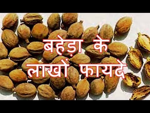 Image result for baheda ke chilke pic