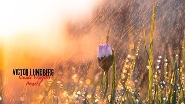 Victor Lundberg - Small Fragile Hearts | Lyrics