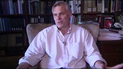 Prehistoric tiny bugs found trapped in amber