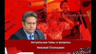 Николай Платошкин: Они жгут леса в Сибири ради денег