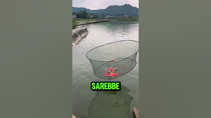 La Scommessa Più Pazza: Rete per Pesci e... un'Anguria?! 🎣🍉 #shorts #virale #perte