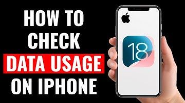 How to Check Data Usage on iPhone (iOS 18)