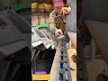 How a 2mm Adjustment Determines Whether Steel Splits or Shatters