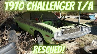 RESCUED!  1970 Dodge Challenger T/A sitting since the 70's