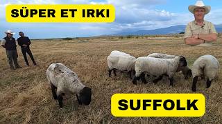 Eski Balıkçıdan Çiftlik Sahibine: Hacı Hasan'ın Başarı Hikayesi!