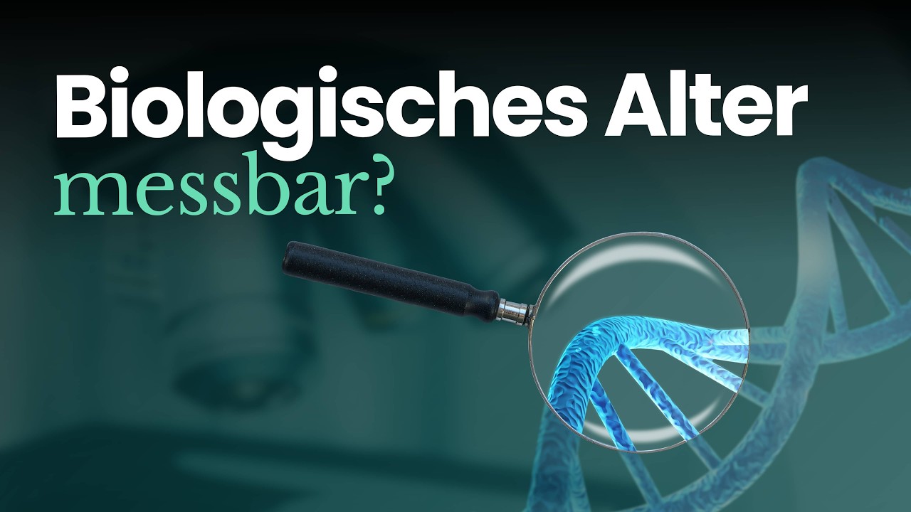 Longevity praktisch umsetzen: Biologisches Alter, Ernährung, Bewegung, Alltag | Teil 2