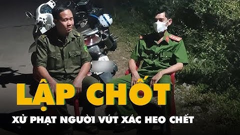 Lập chốt, xử phạt người vứt xác heo chết để ngăn dịch lan rộng