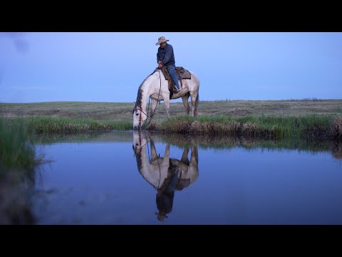 Grasslands: North-America's hidden Wilderness