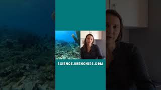 Kiko bo sa di coral (3) Surfside Science