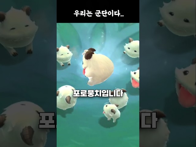 ????드디어 복각하는 포로뭉치?????
