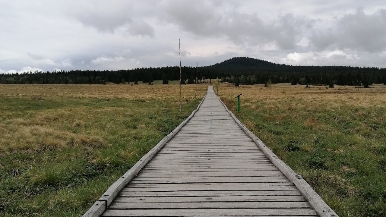 A simple question - YouTube