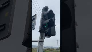 Extremely Rare Polish Pedestrian Crossing Speaker In Rumia