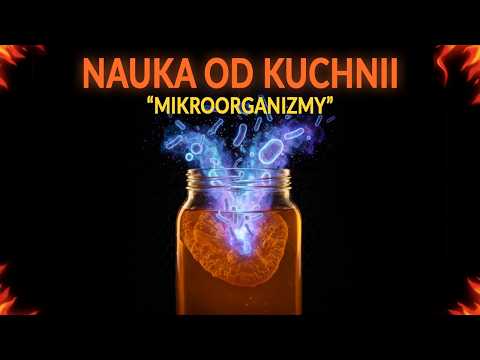 Nauka od Kuchni | Część 3: MIKROORGANIZMY | Jak wpływają na smak? | Serial dokumentalny o gotowaniu