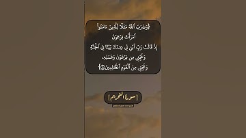 سورة التحريم الآية ١١ و ١٢ بصوت الشيخ محمد صديق المنشاوي