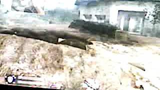 Cod WaW(Wii)(2)cliffside glitches