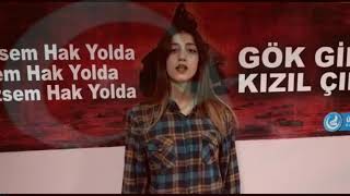 Türk Di̇l Bayrami 1