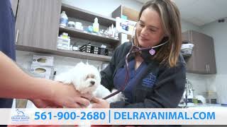 DELRAY ANIMAL SPOT