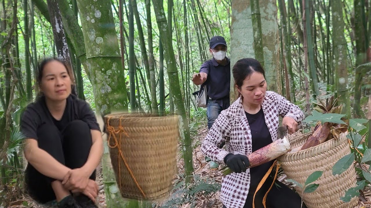 A girl went to the forest to look for bamboo shoots and was followed by ...