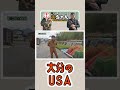 【木こり】大分のUSA【林業のリアル】