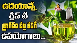 GREEN TEA benefits and side effects | How much Green Tea to drink daily for Weight Loss | Hindi