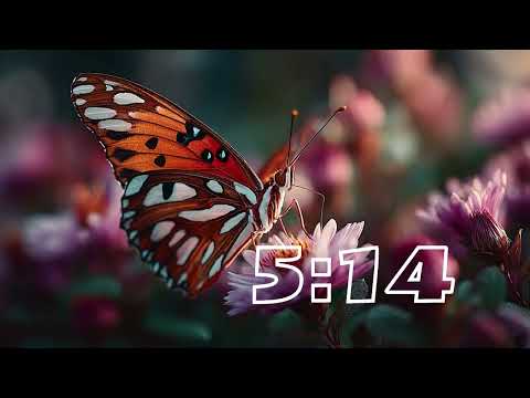 Canva Video 2.0 倒數計時 10 分鐘