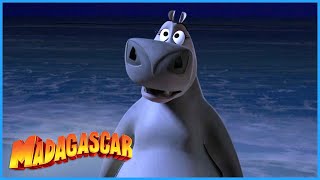 Gloria loves Alex&#39;s plan | DreamWorks Madagascar