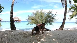 Mobility Exercise Library - Ultimate sit out