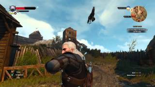 The Witcher 3: Wild Hunt floating roach glitch Profile