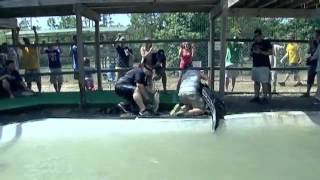 6-6-2012 Gator wrestling Team 4