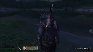 Oblivion Guard Changes His Mind