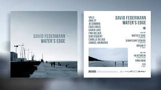 David Federmann - 133 (feat. Valli)