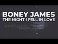 Miniature de la vidéo de la chanson The Night I Fell In Love