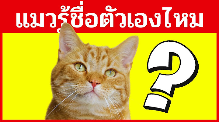 แมวรู้จักชื่อของตัวเองหรือไม่ ? แล้วทำไมแมวบางตัวถึงไม่ตอบสนองเมื่อคุณเอ่ยชื่อ