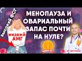 Низкий АМГ, высокий ФСГ значит менопауза и овариальный запас на нуле?