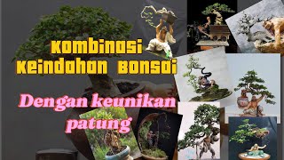 Woww... jos gandos..‼️Bonsai Kombinasi Patung Unik. #bonsai #bonsaitree