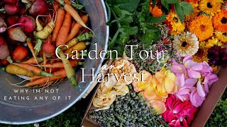 Garden Tour + Harvest and Why I'm NOT Eating Anything I'm Growing