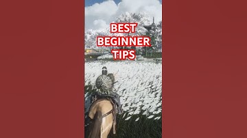 BEST BEGINNER TIPS FOR WHERE WINDS MEET! #wherewindsmeet #freetoplay