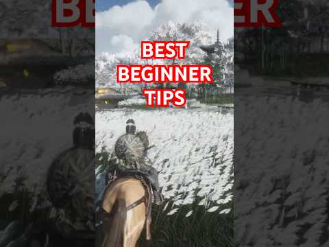 BEST BEGINNER TIPS FOR WHERE WINDS MEET Wherewindsmeet Freetoplay