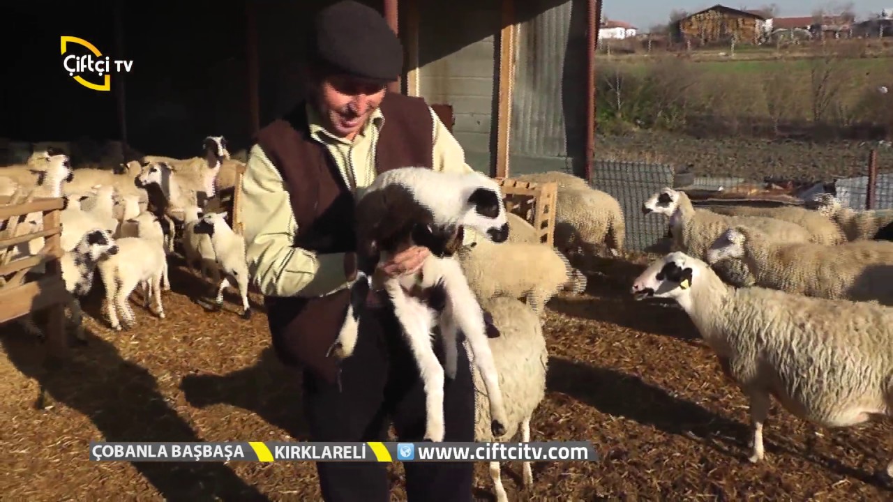Çobanla Baş Başa-Kırklareli'nde Çobanımızı Arıyoruz...