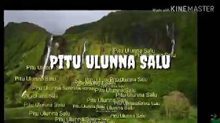 Pitu Ulunna Salu