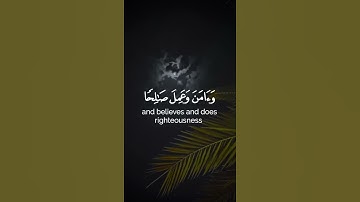 ماتيسر من سورة طه - القارئ شريف مصطفى