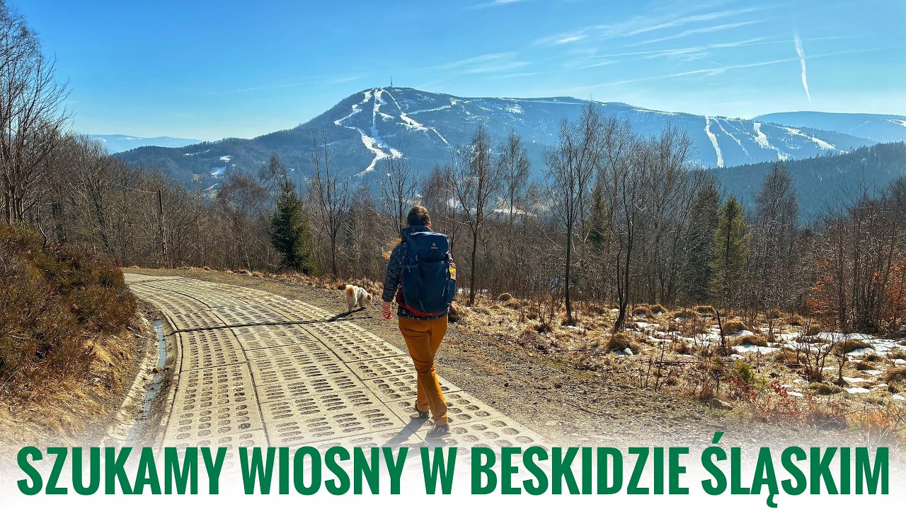 Czy w Beskidach jest już wiosna? Sprawdzamy Beskid Śląski