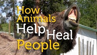 How Animals Help Heal Physical, Emotional, Social and Mental Challenges