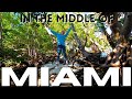 KAYAKING MIAMI // Miami Vacation Vlog 2020 // 8-day Layover in Miami