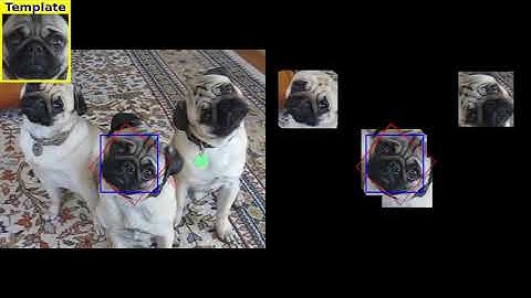 fast screening algorithm for template matching