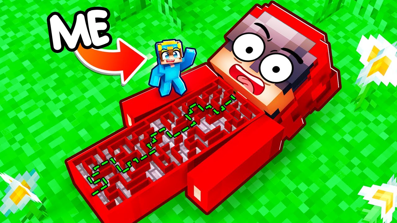 I Turned Cash Into A Maze In Minecraft YouTube i-turned-cash-into-a-maze-in-minecraft-youtube