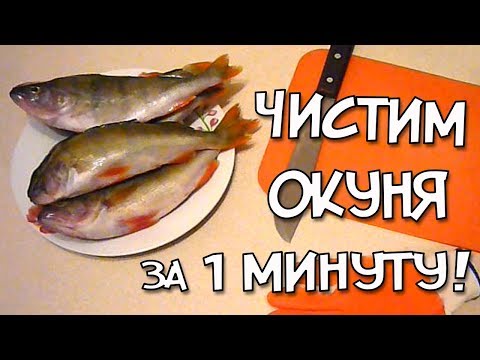Как очень быстро почистить окуня